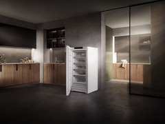 Congelator vertical cu NoFrost FNc 6625 Plus [4]