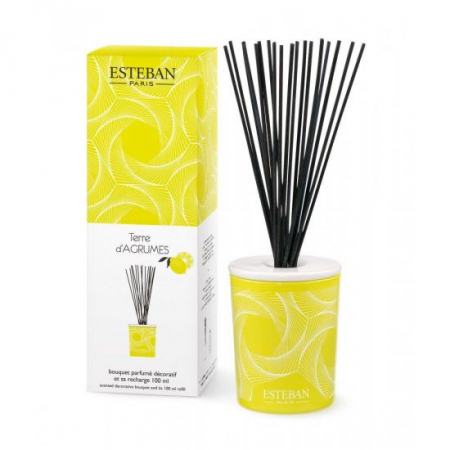 Parfumuri de interior - Difuzor deco. Terre D'Agrumes&Rezerva 100ml - Esteban Paris
