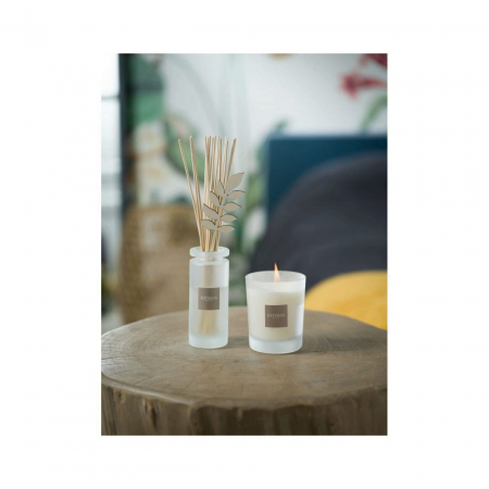 Difuzoare Parfumate - Difuzor Parfum White Cotton 100ml - Esteban Paris