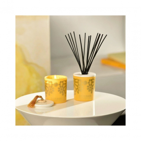 Difuzor deco. Ambre&Rezerva 100ml Esteban Paris [1]