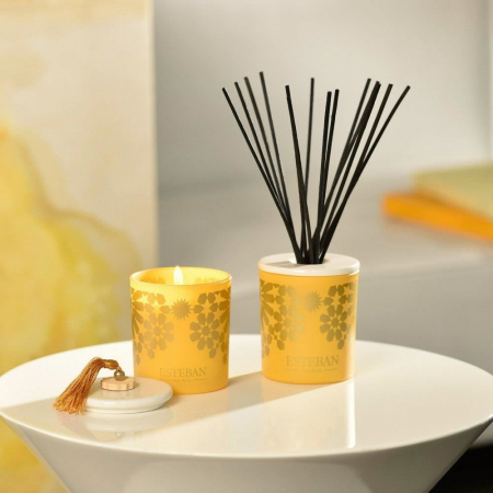 Difuzor deco. Ambre&Rezerva 100ml Esteban Paris [4]