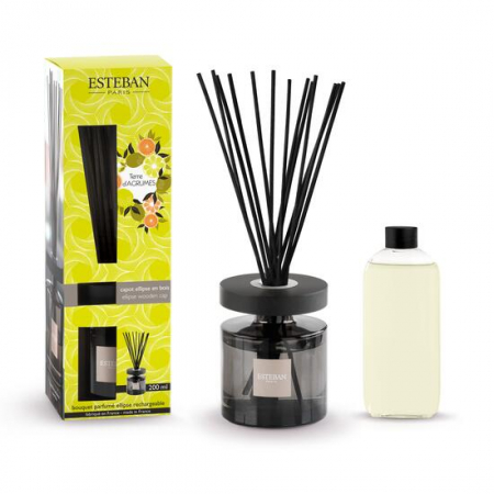 Parfumuri de interior - Difuzor Parfum Ellipse Terre D'Agrumes 200ml - Esteban Paris