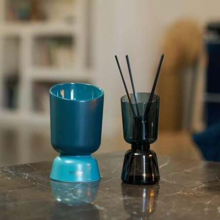 Difuzor parfum Iconic color Figue Noire 250 ml - Esteban Paris [9]
