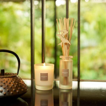 Difuzor Parfum Lotus&Sweet Almond 100ml - Esteban Paris [1]