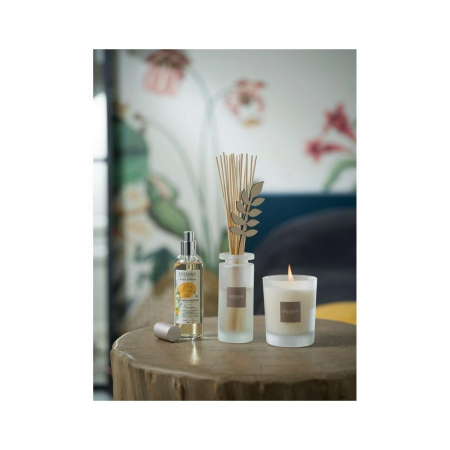 Parfumuri de interior - Difuzor Parfum Orange Blossoms 100ml - Esteban Paris