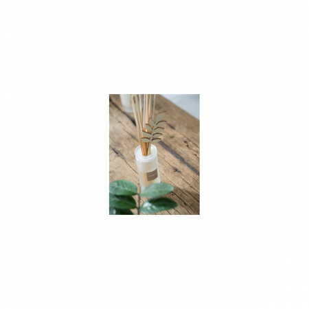 Difuzor Parfum Orange&Green Tea 100ml - Esteban Paris [6]