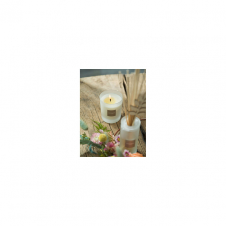 Difuzor Parfum Orange&Green Tea 100ml - Esteban Paris [7]