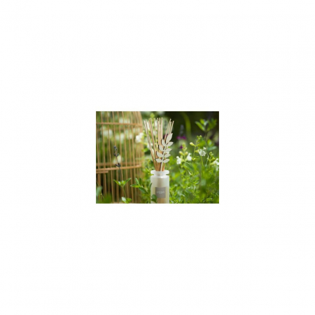 Difuzor Parfum Pomegranate&Lime 100ml - Esteban Paris [7]