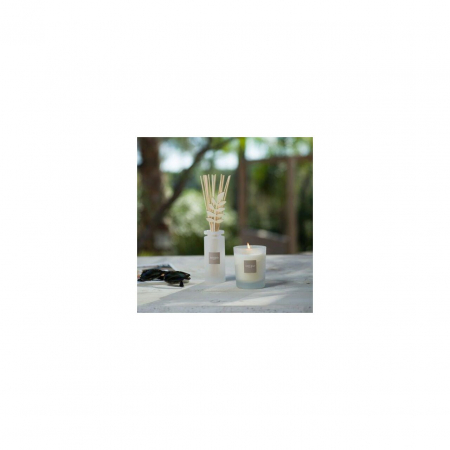 Difuzor Parfum Pomegranate&Lime 100ml - Esteban Paris [5]