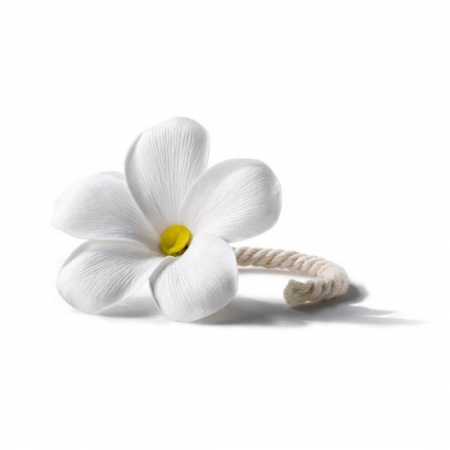 Floare pentru difuzor parfumat