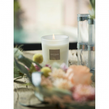 Lumanare Parfumata White Cotton - Esteban Paris [7]