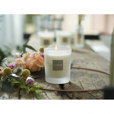 Lumanare Parfumata Amber&Balms - Esteban Paris [7]