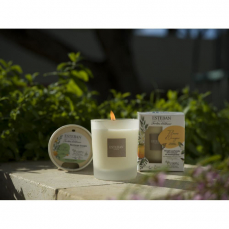 Rezerva Lumanare Summer Jasmine - Esteban Paris [4]
