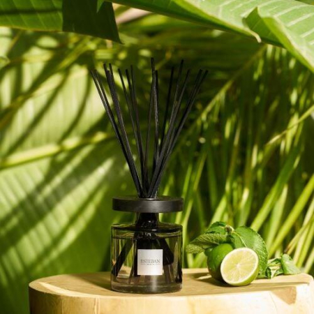 Rezerva Parfum 250ml Amazon Water - Esteban Paris [5]