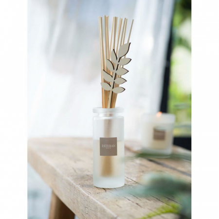 Rezerva parfum 500ml Aloe Flower - Esteban Paris [9]