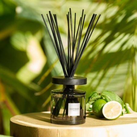 Rezerva Parfum 500ml Amazon Water - Esteban Paris [2]