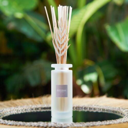 Rezerva parfum 500ml Figue Garrigue - Esteban Paris [6]