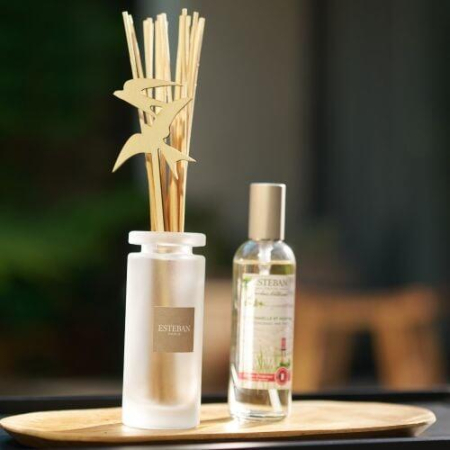 Rezerva Parfum Lemongrass&Mint 250ml - Esteban Paris [6]