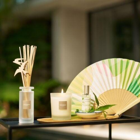 Rezerva Parfum Lemongrass&Mint 250ml - Esteban Paris [4]
