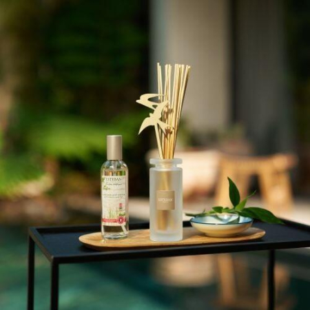 Rezerva Parfum Lemongrass&Mint 250ml - Esteban Paris [1]