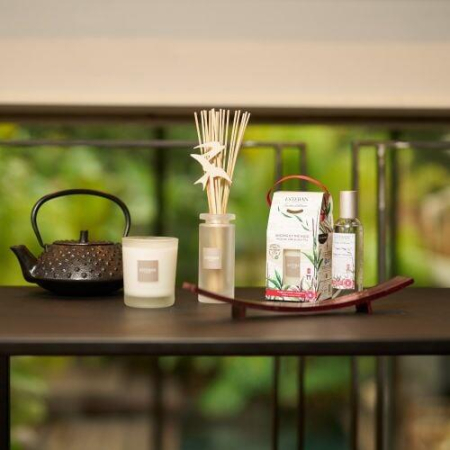 Spray Camera 100 ml Incense&Black Tea - Esteban Paris [6]