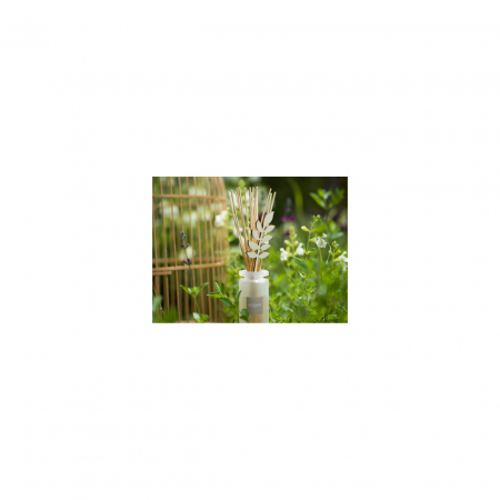 Spray Camera 100ml Blooming Tea - Esteban Paris [2]