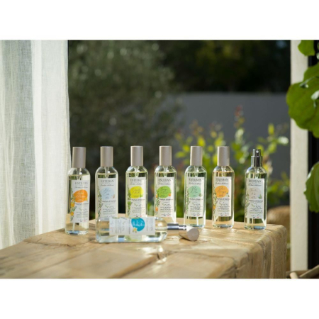 Spray Camera 100ml Lemongrass&Mint - Esteban Paris [2]