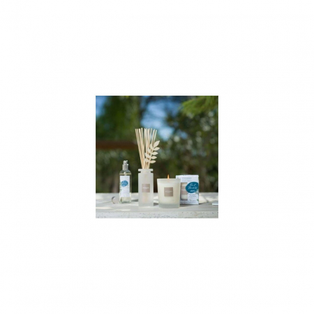 Spray Camera 100ml Pine&Fleur de Sel [3]