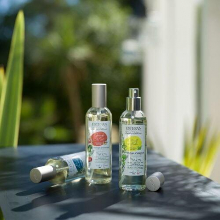 Spray Camera 100ml Pomegranate&Lime - Esteban Paris [3]