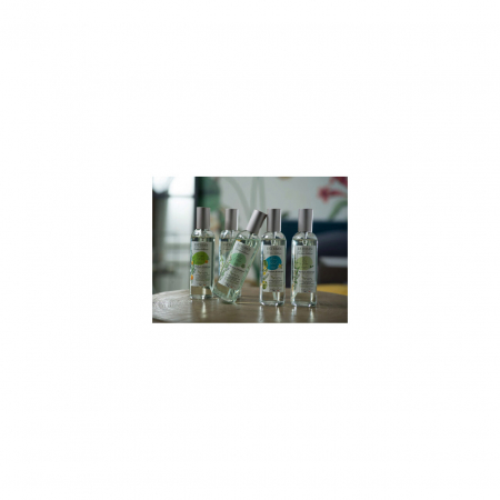 Spray Camera 100ml Summer Jasmine - Esteban Paris [2]