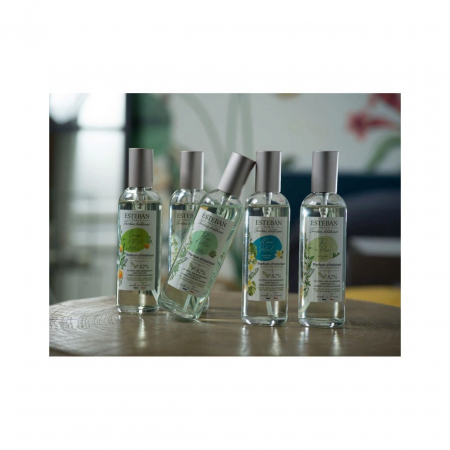 Spray Camera 100ml Vineyard Peach [1]