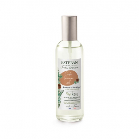 Spray Camera 100ml Wild Cedar - Esteban Paris