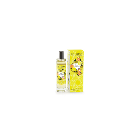 Spray Camera 75 ml Terre D'Agrumes - Esteban Paris [1]