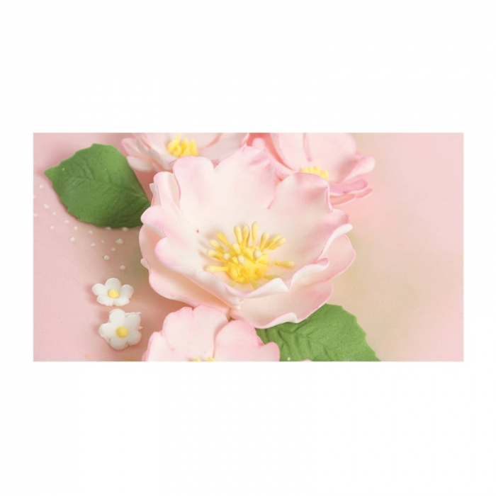 decupatoare-pasta-de-zahar-flori-maces-decorare-cofetarie-set-5buc [3]