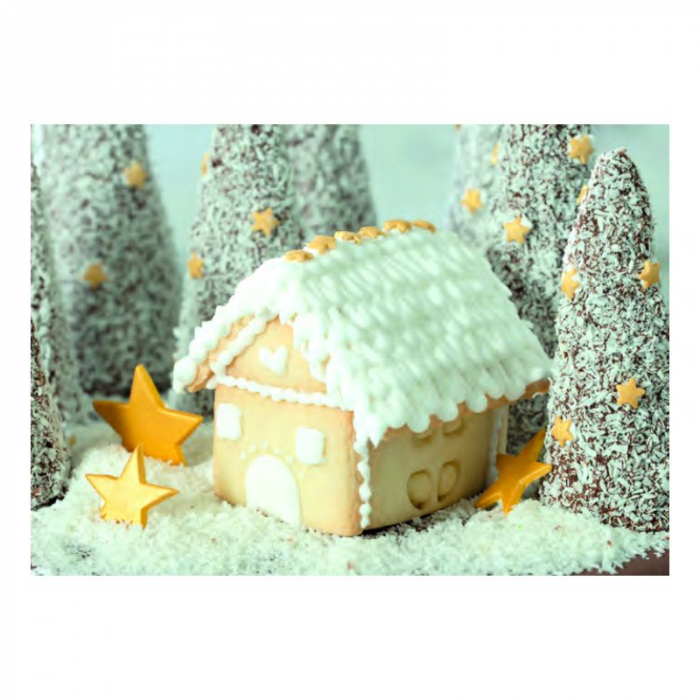 decupator-cookies-biscuiti-casuta-turta-dulce-3D-cofetarie [7]