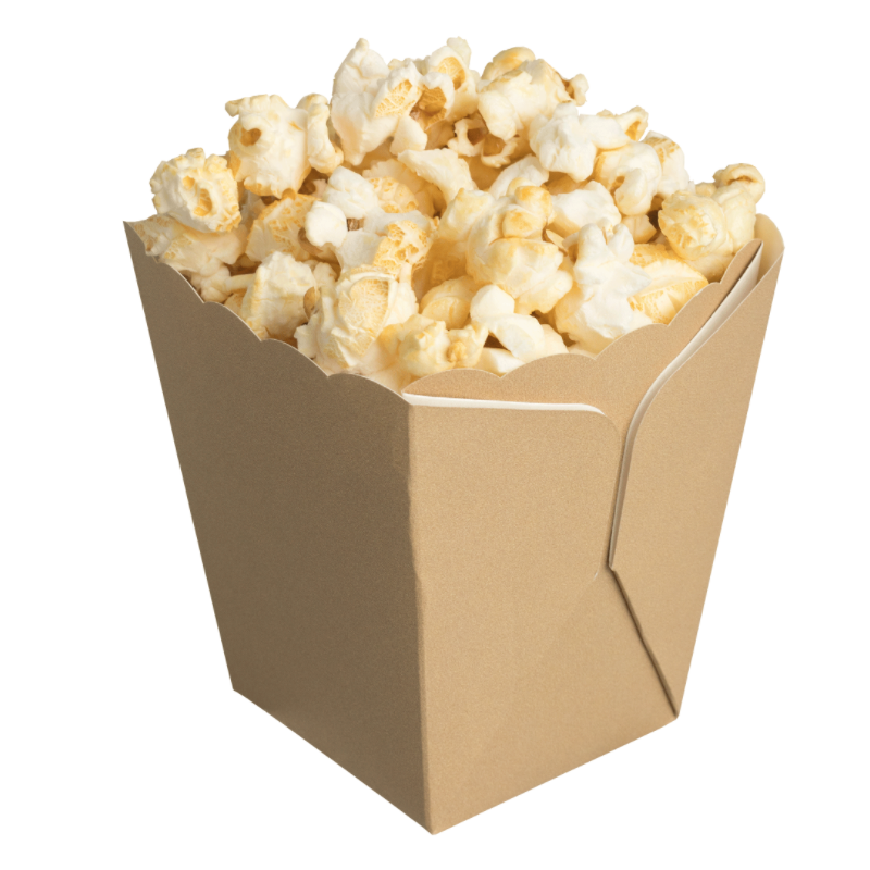 forme-copt-chec-prajituri-rigide-catering-nature-100x60mm-11buc [3]