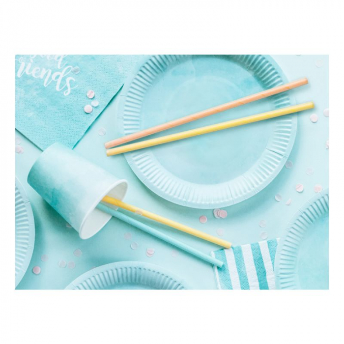 paie-baut-hartie-biodegradabile-bauturi-cakepops-multicolor-set-10buc [4]