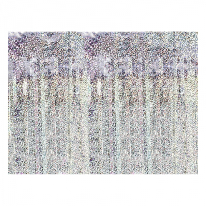 perdea-decorativa-franjuri-metalizat-holografic-250-cm [2]