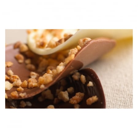 alune-de-padure-granulate-caramel-crocant-prajituri-cofetarie-1kg [1]