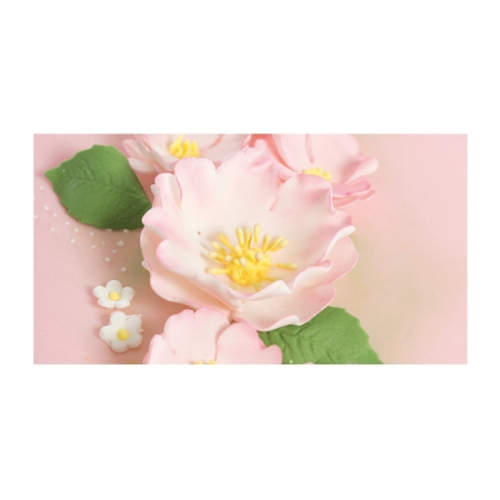 decupatoare-pasta-de-zahar-flori-maces-decorare-cofetarie-set-5buc [2]