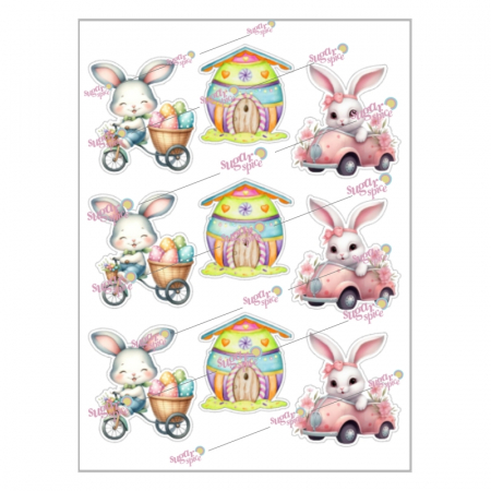 Paste - imagine-comestibila-cookies-decorare-biscuiti-paste-pc1