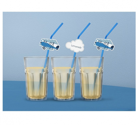 paie-baut-avion-bauturi-cakepops-multicolor-set-6buc [2]