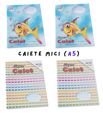 CAIETE MICI (A5)