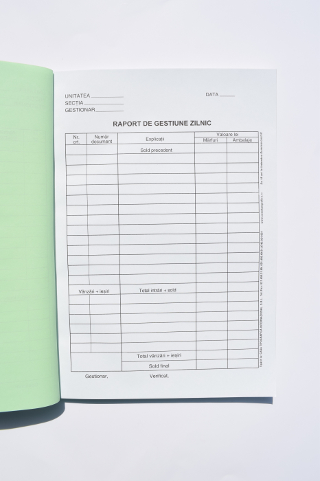Raport de gestiune zilnic tip 2 [2]