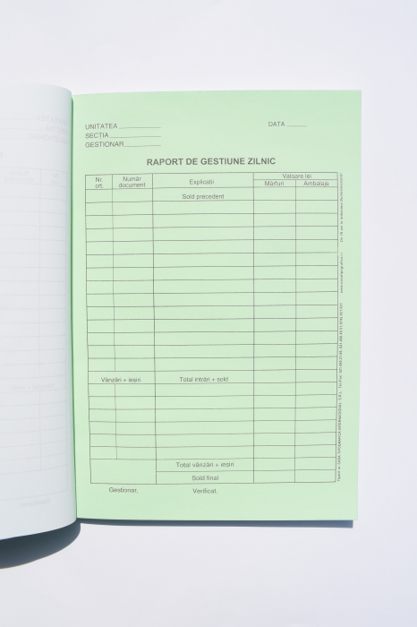 Raport de gestiune zilnic tip 2 [3]
