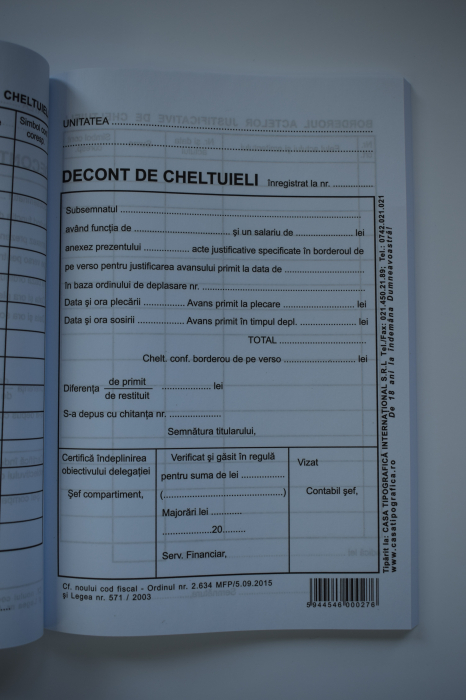 Decont de cheltuieli [2]