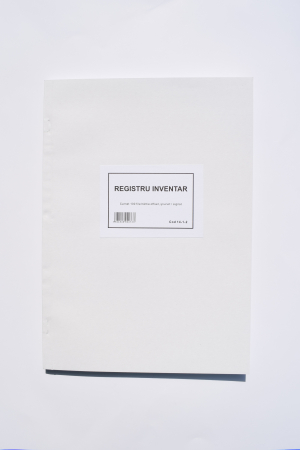 Rapoarte şi registre - Registru inventar