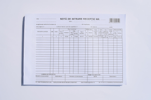 Niruri şi note - Notă de intrare recepţie tip 1 cu TVA
