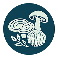 Ciuperci