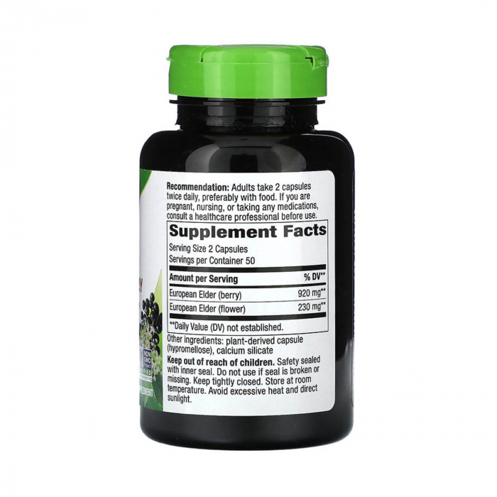 black-elderberry-natures-way [2]